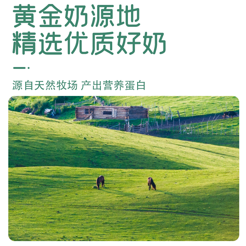 乳清蛋白粉源头工厂贴牌代加工固体饮料代加工定制